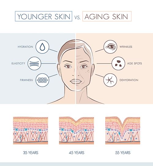 illustrating the differences between younger skin vs aging skin